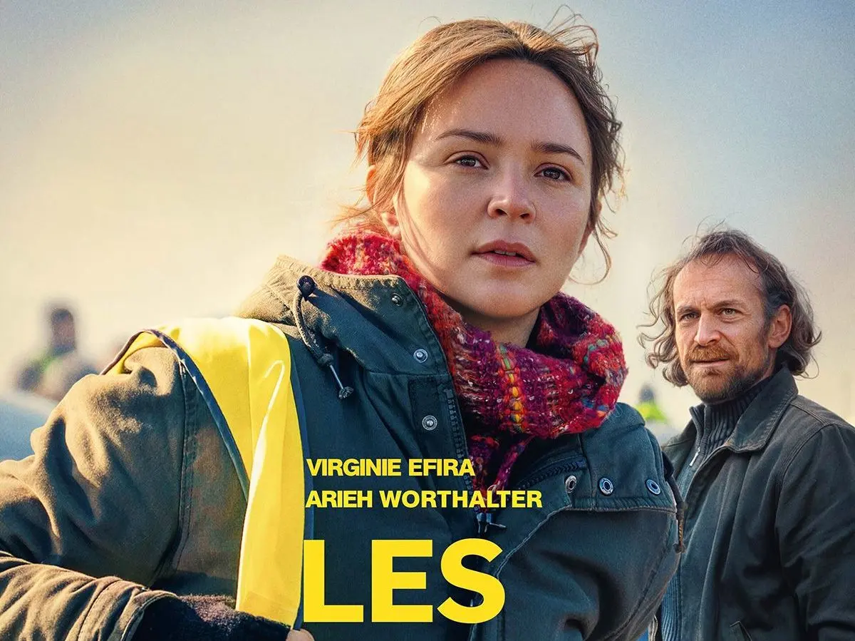 Les Braises : Cinéma à Vasles