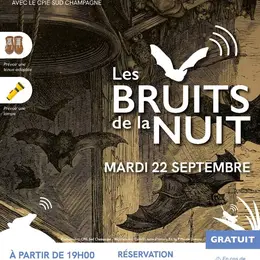 Les bruits de la nuit
