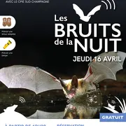 Les bruits de la nuit