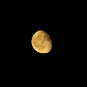 Les bruits de la nuit aux Landes de Versigny
