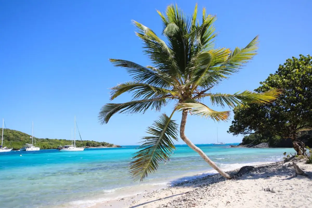 Les Caraïbes autrement : explorer les plus belles îles au fil d’une croisière d’exception