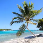 Les Caraïbes autrement : explorer les plus belles îles au fil d’une croisière d’exception