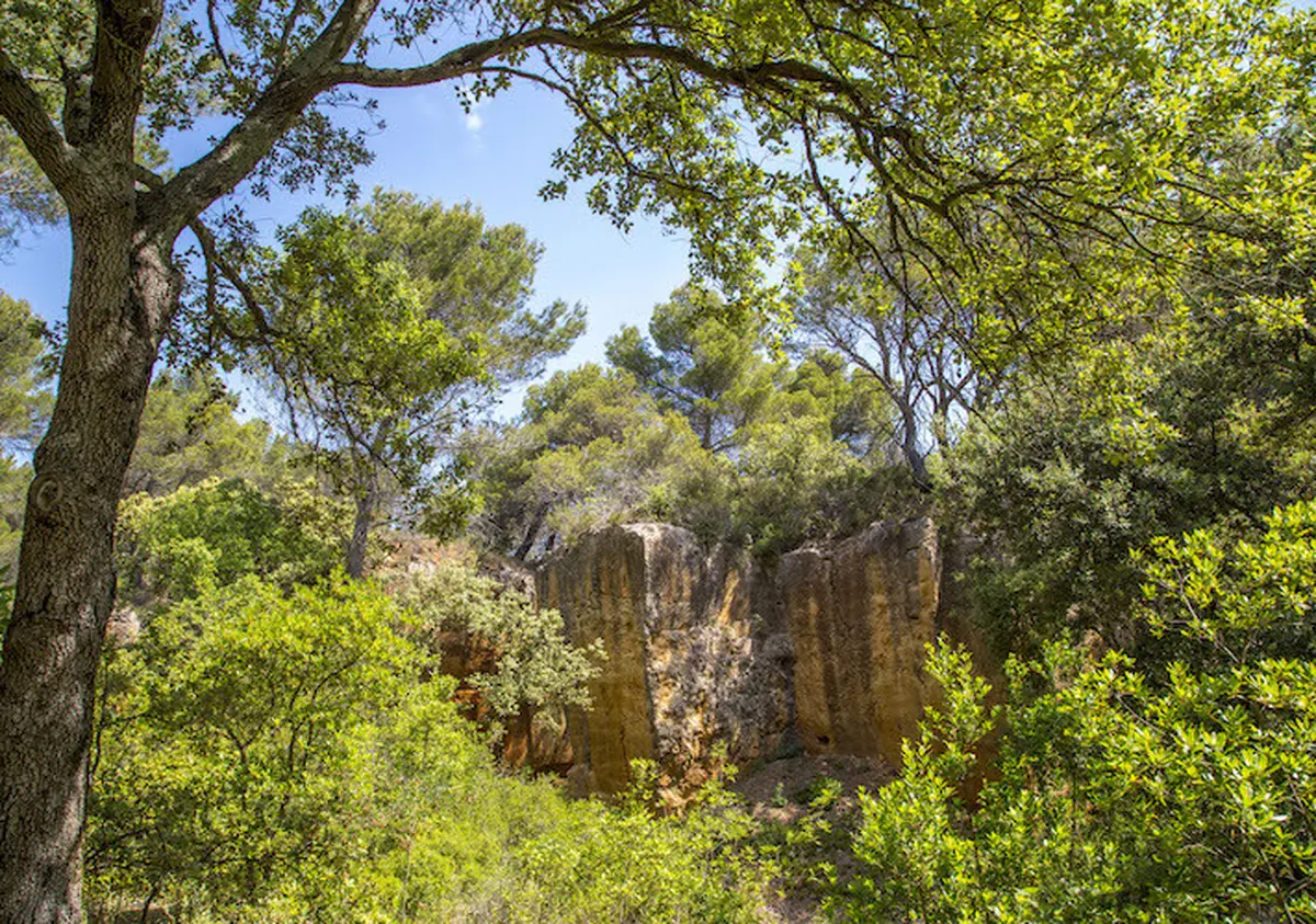 Les Carrières de Bibémus et Cezanne
