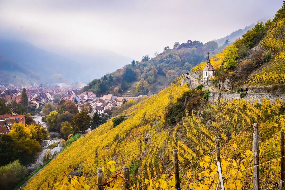 Le vignoble du Rangen &agrave; Thann, tout au d&eacute;but de la route des vins d'alsace