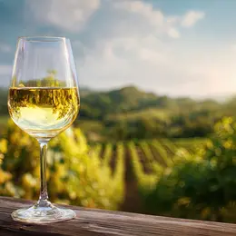 Les caves à vin à visiter en Alsace : notre sélection pour découvrir et déguster les meilleurs vins d'Alsace