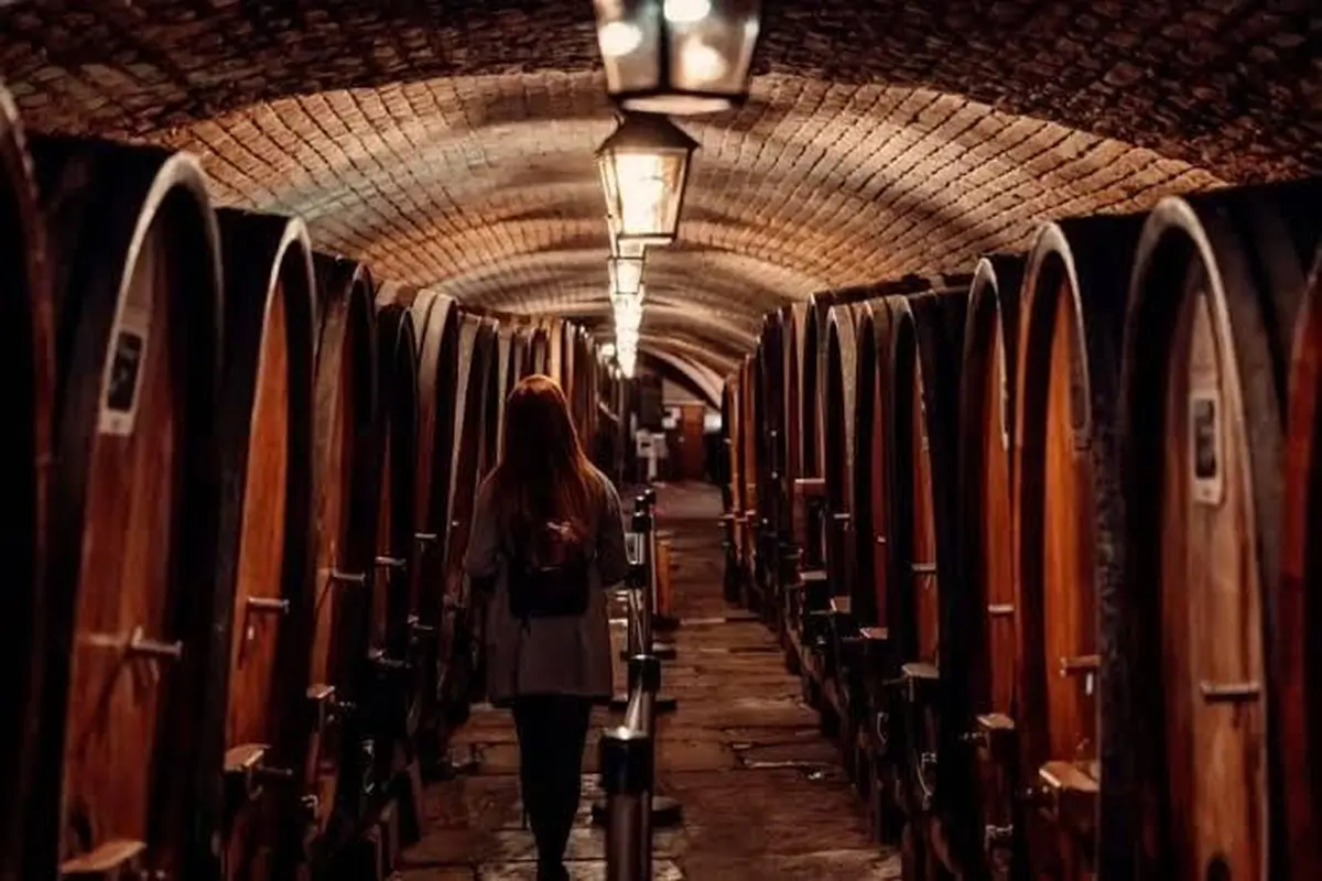 La Cave Historique des Hospices de Strasbourg