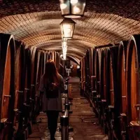 La Cave Historique des Hospices de Strasbourg &copy; Hospices de Strasbourg