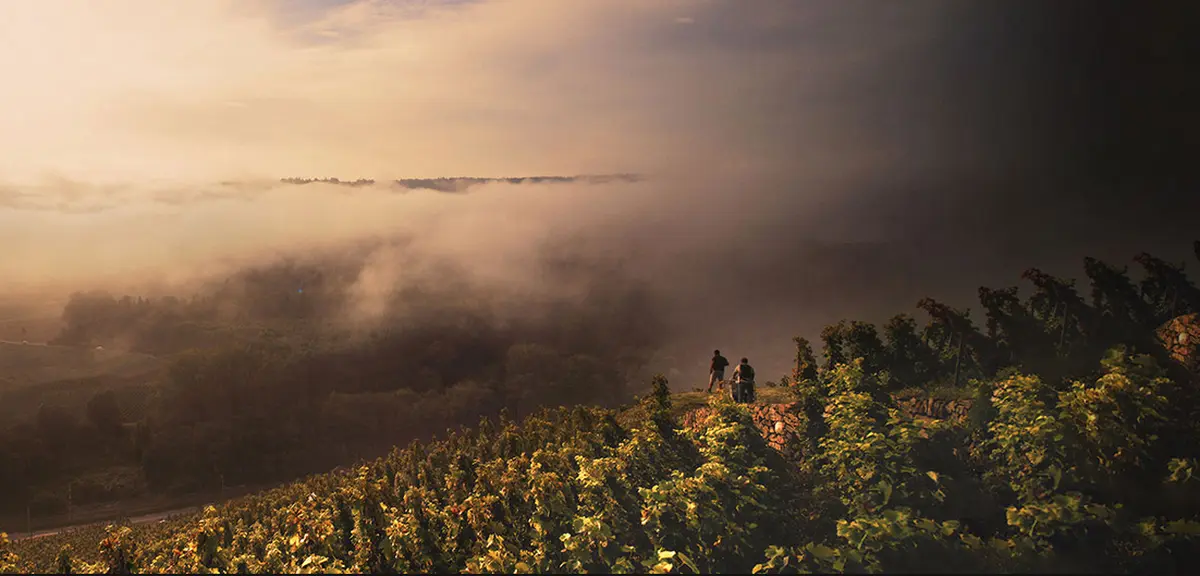 Les chaillées de l'enfer | Rencontre avec le réalisateur et deux femmes vigneronnes