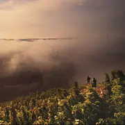 Les chaillées de l'enfer | Rencontre avec le réalisateur et deux femmes vigneronnes