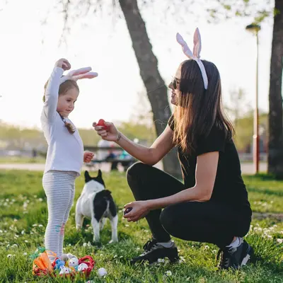 Chasses aux oeufs : où dénicher les chocolats cachés par le lapin ?