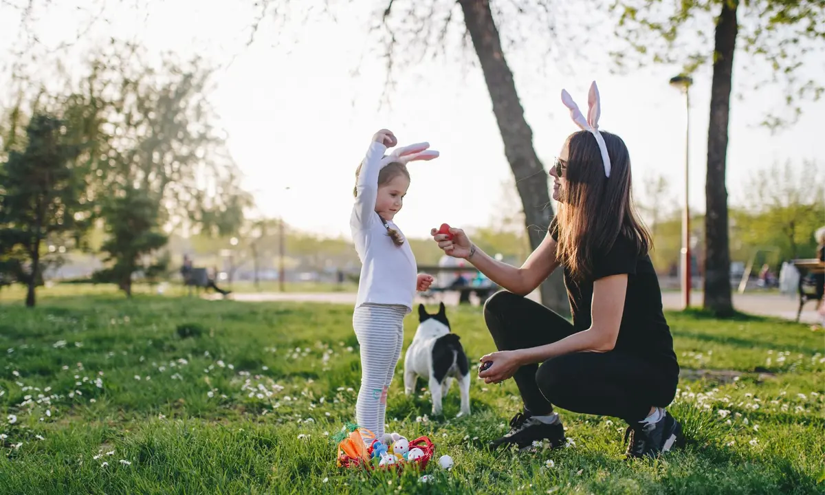 Les chasses aux oeufs dans le Bas-Rhin 2026