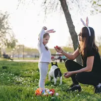 Les chasses aux oeufs dans le Bas-Rhin 2026 DR