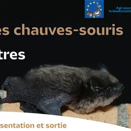 Les chauves-souris à Istres avec la LPO