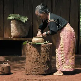 Les Chemins Du Doc : Nous Sommes Les Fruits De La Forêt