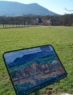 Les Chemins du patrimoine du Val de Villé