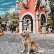 10 choses que vous ignorez peut-être sur Europa-Park