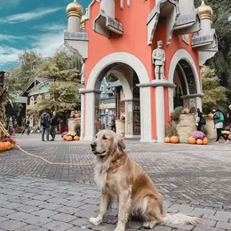 10 choses que vous ignorez peut-être sur Europa-Park