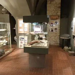 Musée archéologique