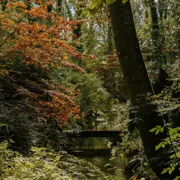 Les coloris d'automne à l'Arboretum d'Ilex