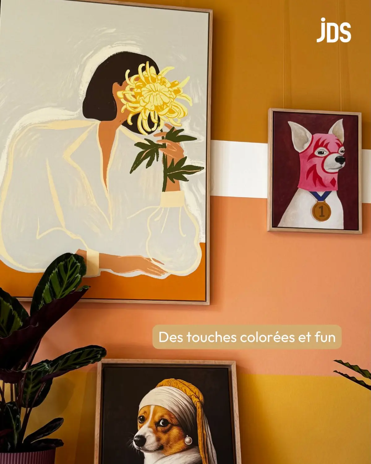 Les Compotes Mulhouse