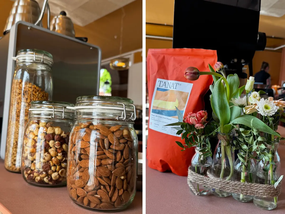 Les Compotes : nouveau lieu de vie à Mulhouse