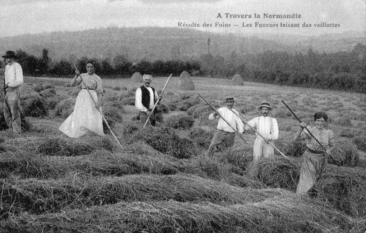 Les conférences d’histoire locale, la vie dans nos campagnes du Cotentin 5/5 : Foins et moissons