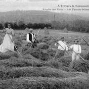 Les conférences d’histoire locale, la vie dans nos campagnes du Cotentin 5/5 : Foins et moissons