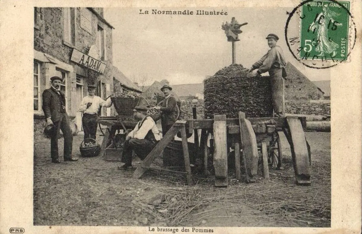 Les conférences d’histoire locale, la vie dans nos campagnes du Cotentin : Culture du pommier et production cidricole