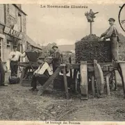 Les conférences d’histoire locale, la vie dans nos campagnes du Cotentin : Culture du pommier et production cidricole