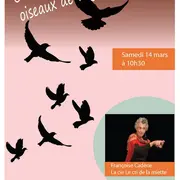 Les Contes Des Oiseaux De Passage
