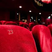 Les Contes Improvises Du Chat Malo