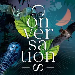Les Conversations | La nuit de la chouette