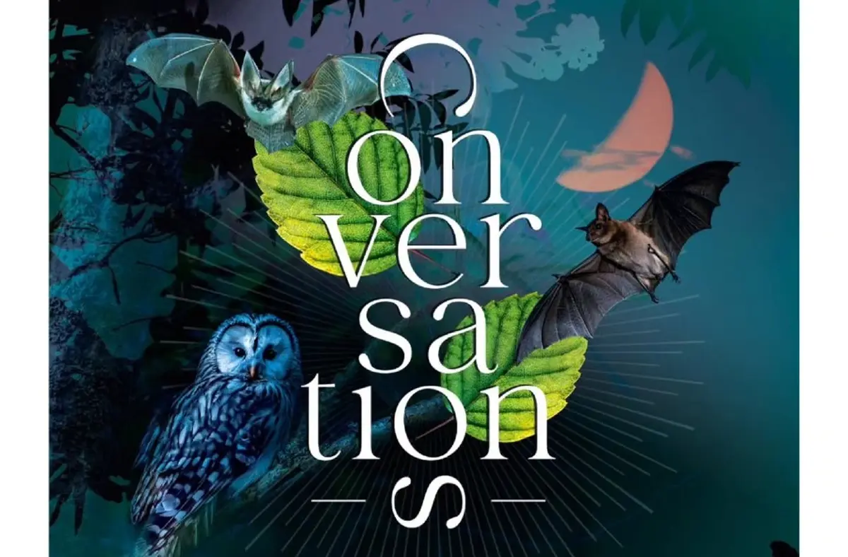 Les Conversations | La nuit des chauves-souris