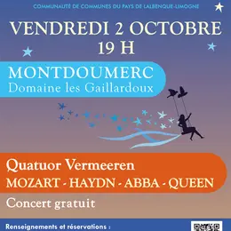 Les Cordes en Folies - Concert Quatuor Vermeeren