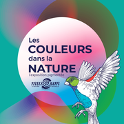 Les couleurs dans la nature
