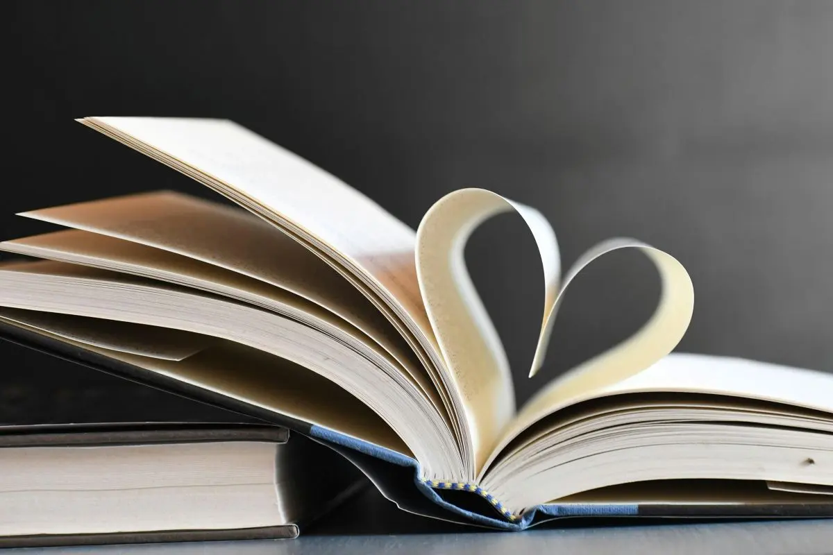 Les coups de coeur des lecteur·ices