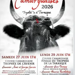 Les Courses Camarguaises des Trophées de la Tarasque