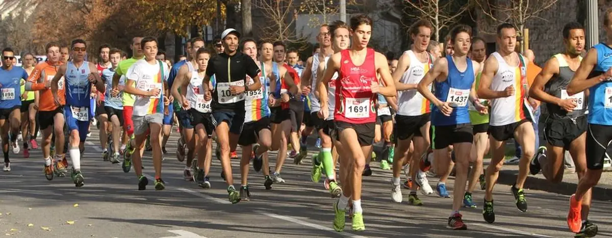 Les Courses de Colmar by Lonza 