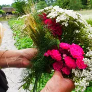 Les croix de la Saint-Jean à Marquèze