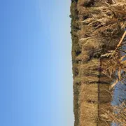 Les découvertes de Monta : Découverte du marais au crépuscule