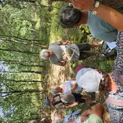 Les découvertes de Monta : Les secrets de la forêt médocaine