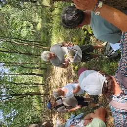 Les découvertes de Monta : Les secrets de la forêt médocaine