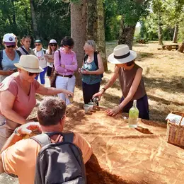 Les découvertes de Monta : Plantes sauvages et comestibles ( marais de la perge )