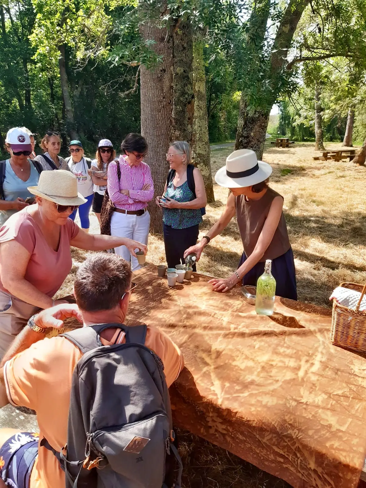 Les découvertes de Monta : Plantes sauvages et comestibles ( marais de la perge )