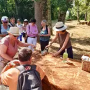 Les découvertes de Monta : Plantes sauvages et comestibles ( marais de la perge )