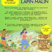Les défis du lapin