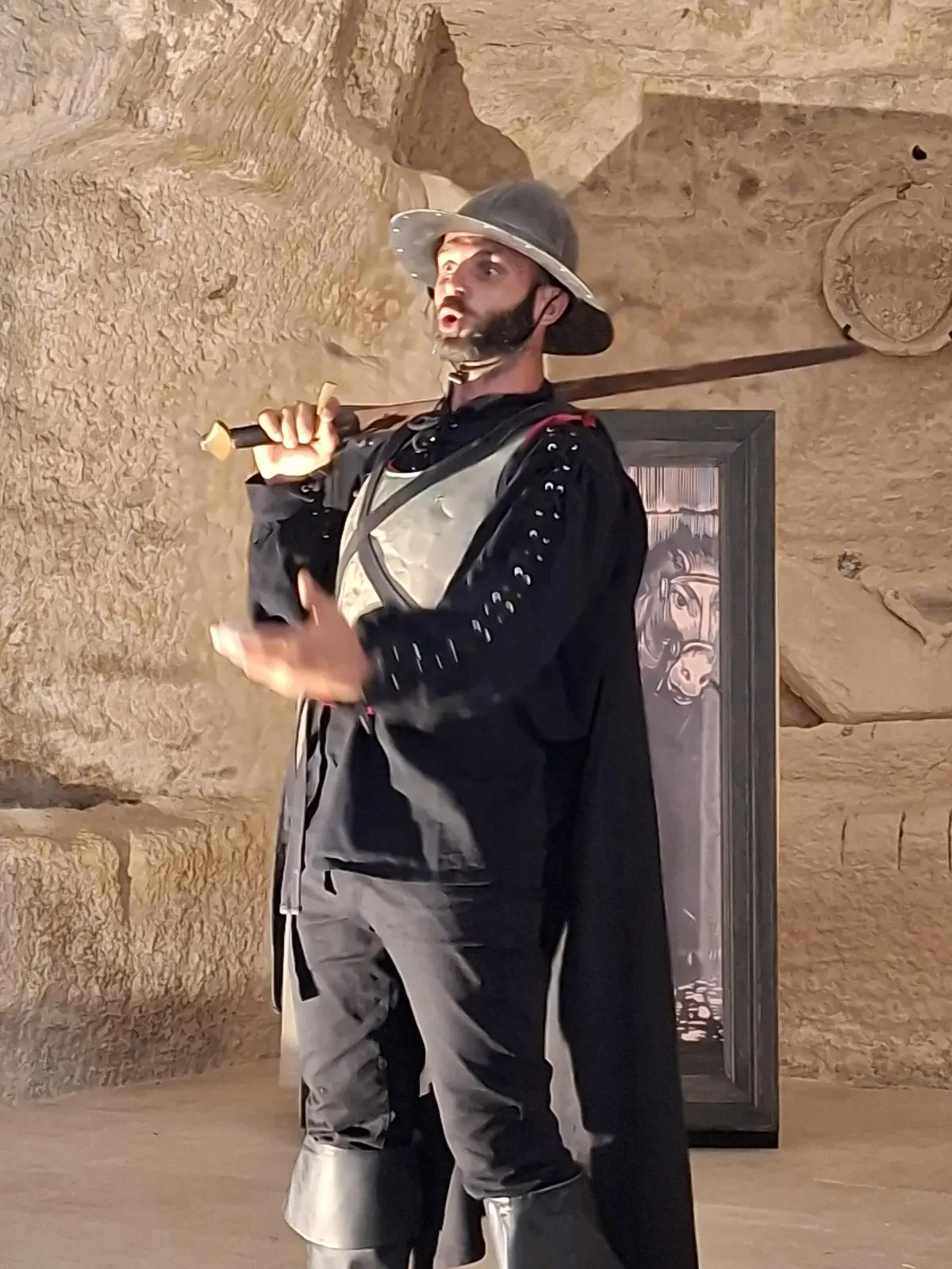 Les Dernières illusions de Don Quichotte