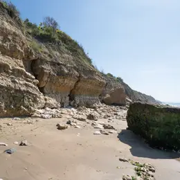 Les détectives naturalistes au falaises des Roches Noires.