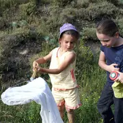 Les drôles de bestioles de la mare, réserve départementale de biodiversité d'Argentat