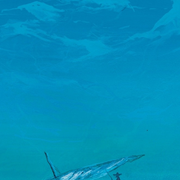 Les Eaux du Monde